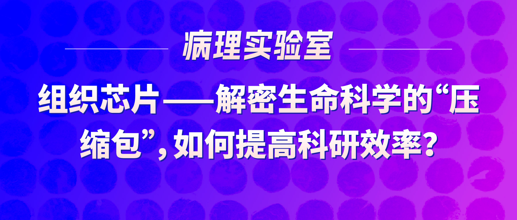 「病理实验有话说」-组织芯片——解密生命科学的“压缩