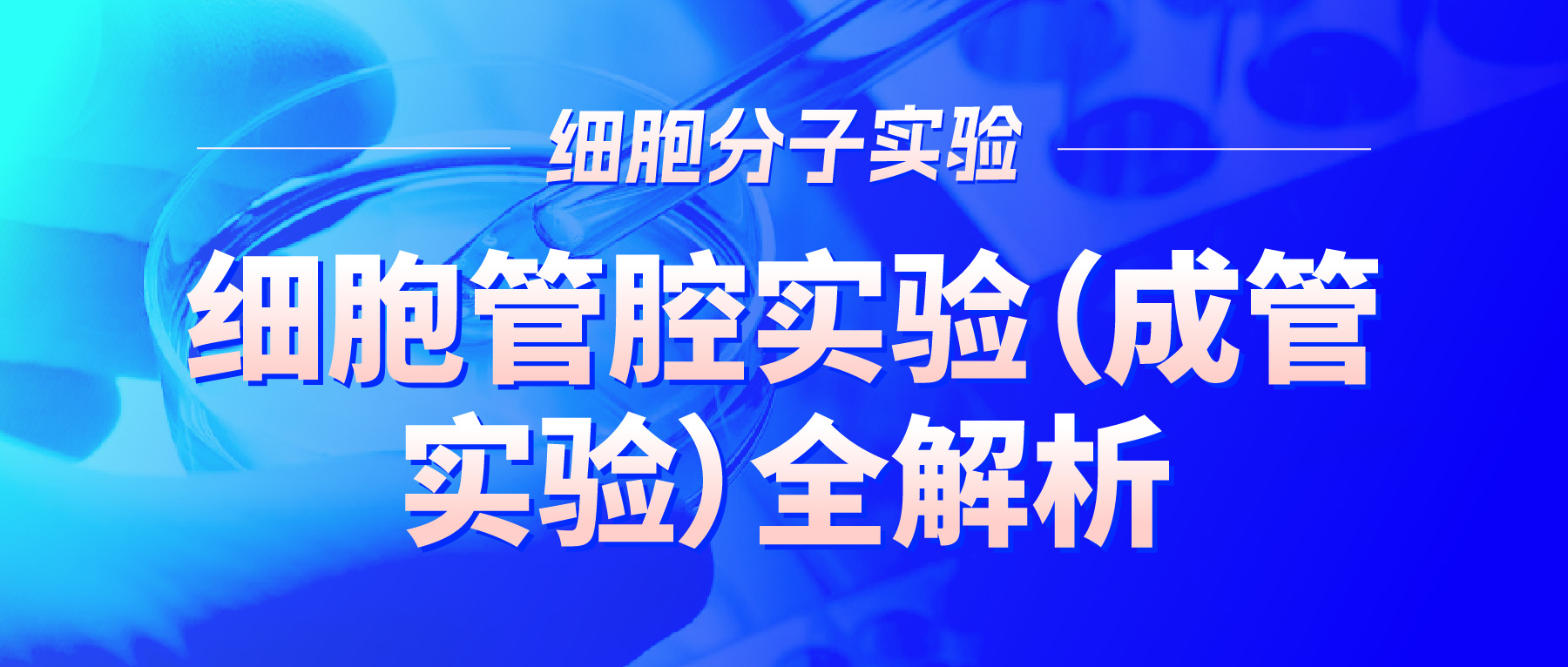 「细胞分子实验有话说」-细胞管腔实验（成管实验）全解析