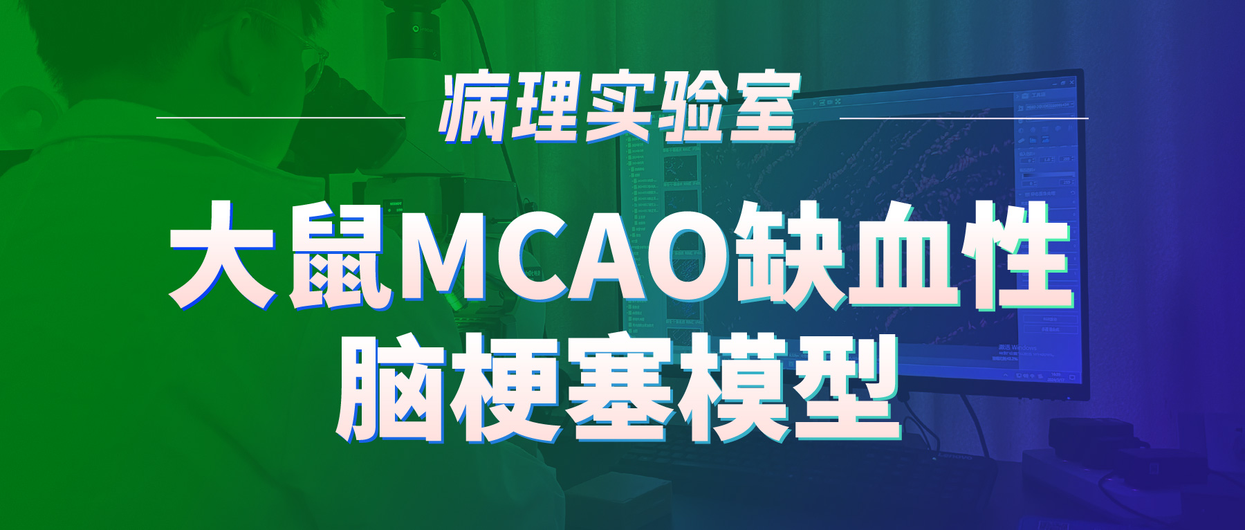 「病理实验有话说」-大鼠MCAO缺血性脑梗塞模型