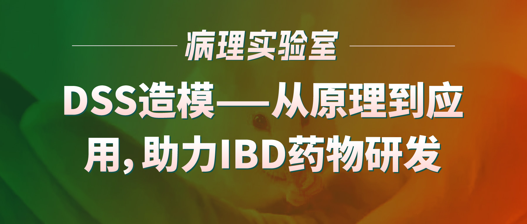 「病理实验有话说」-DSS造模——从原理到应用，助力IBD药物