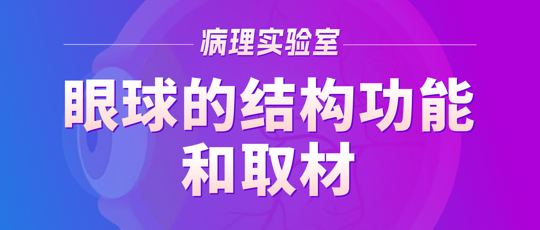 「病理实验有话说」- 眼球的结构功能和取材