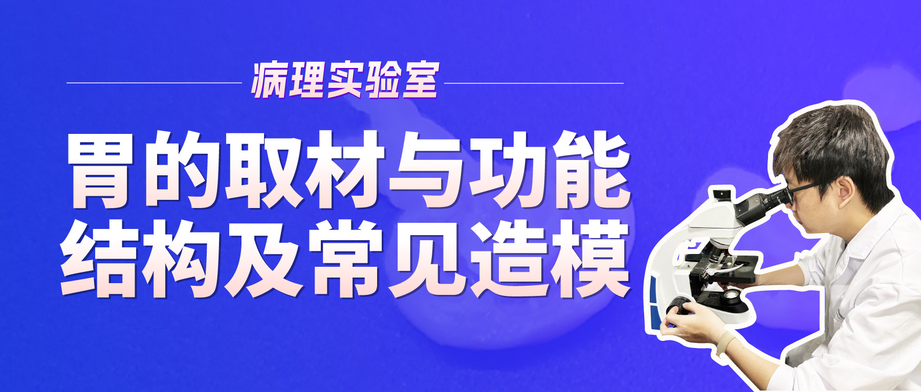 「病理实验有话说」-胃的取材与功能结构及常见造模