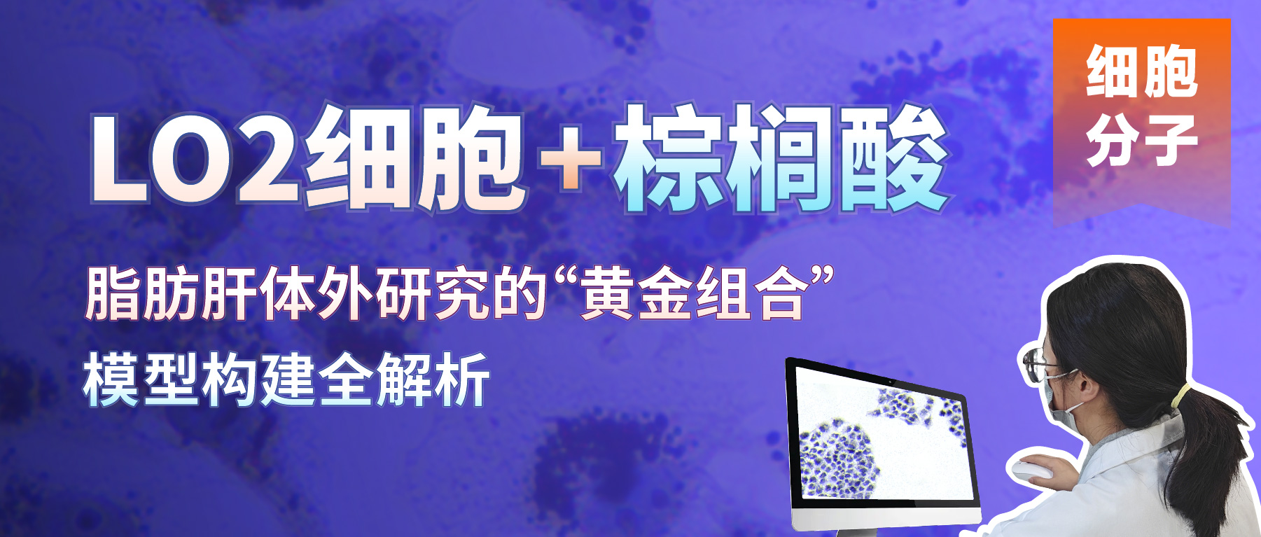 「细胞分子有话说」LO2细胞+棕榈酸：脂肪肝体外研究的“黄