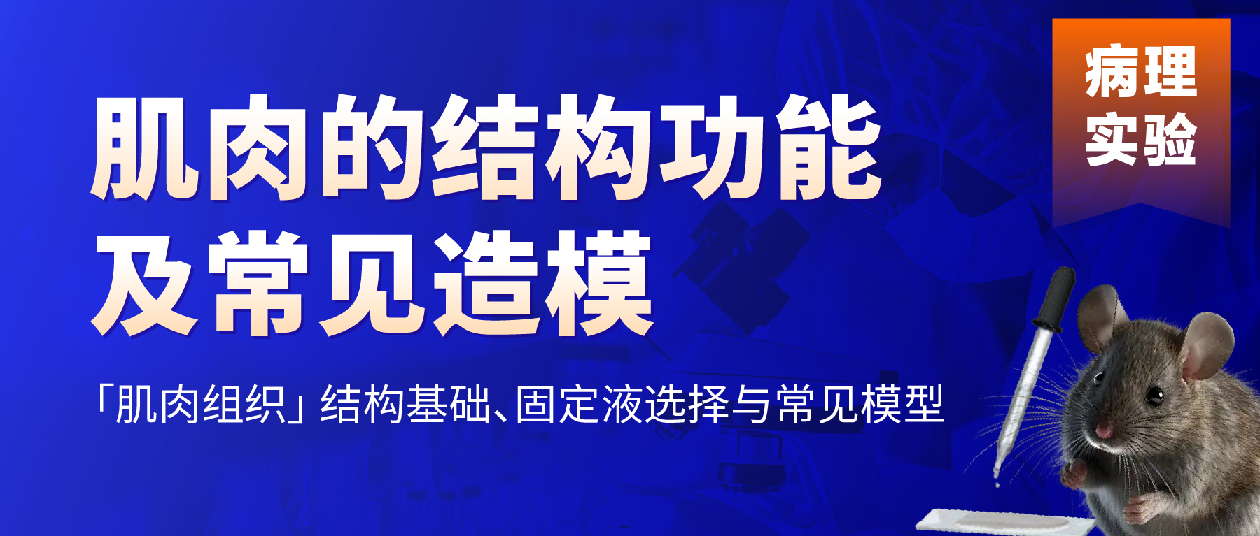 「病理实验有话说」- 肌肉的结构功能及常见造模