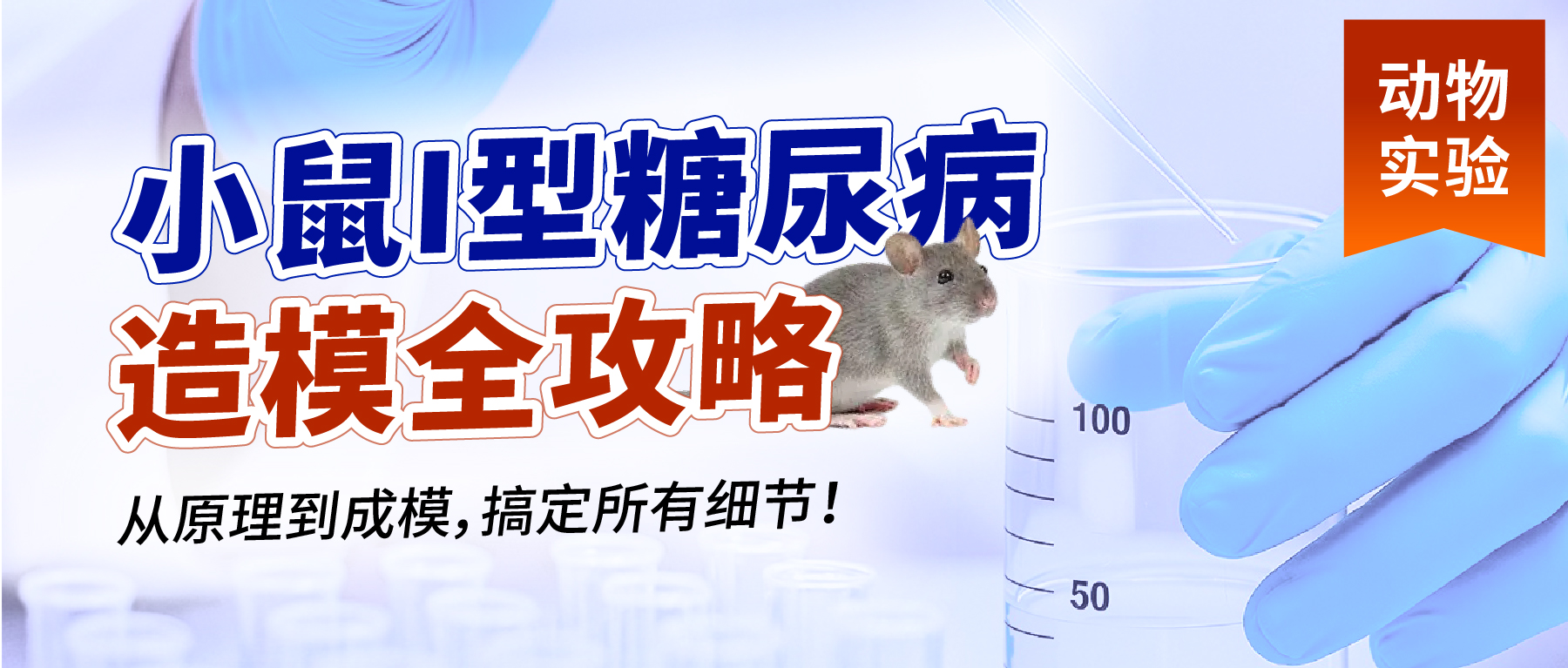 「动物实验有话说」- 小鼠I型糖尿病造模全攻略