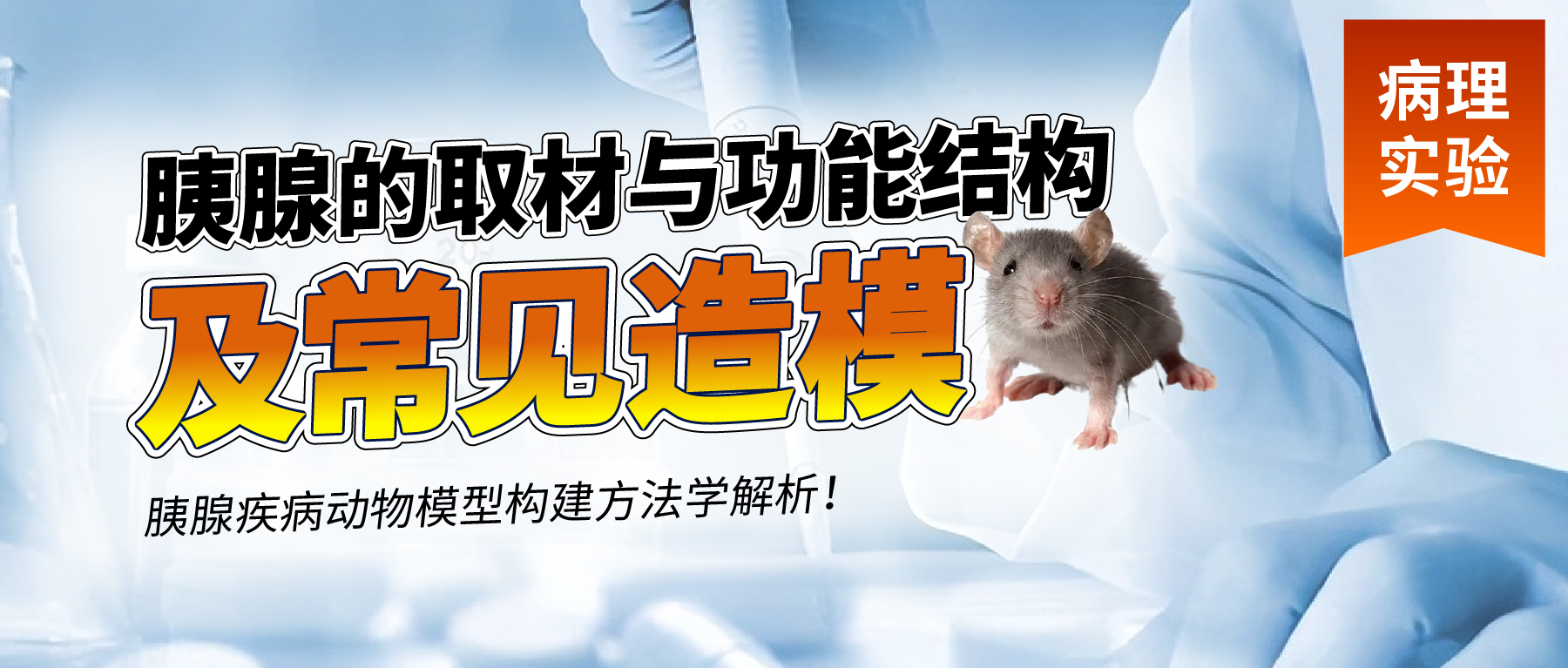 「病理实验有话说」- 胰腺的取材与功能结构及常见造模